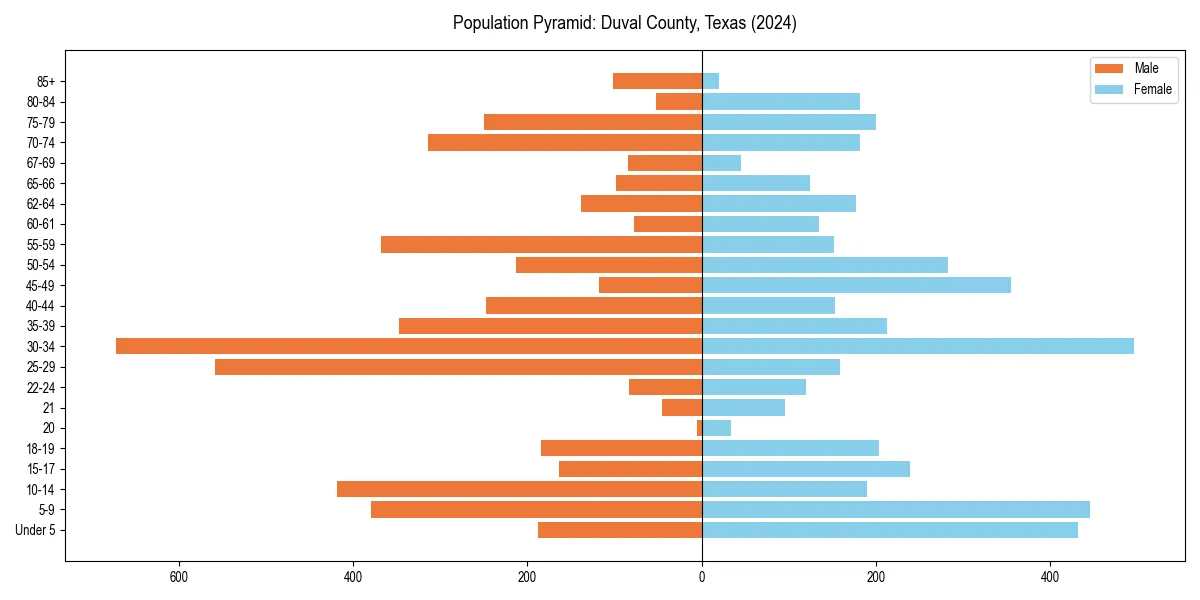 Population pyramid for 