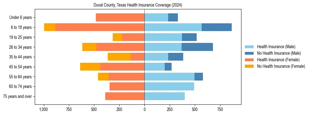 Health insurance pyramid for Duval County, Texas