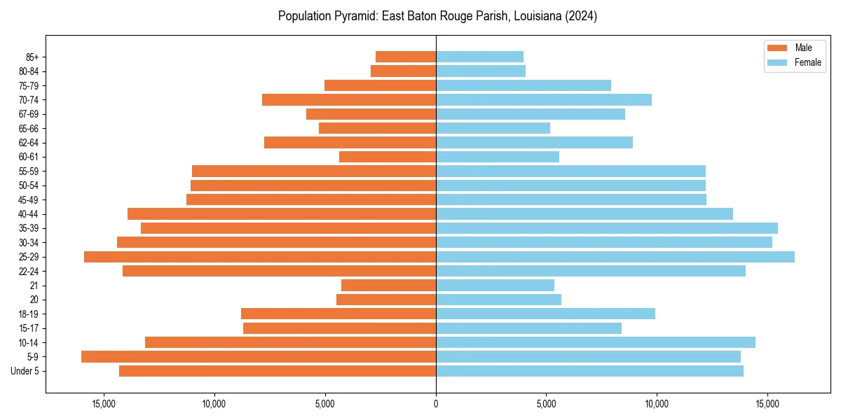 Population pyramid for 