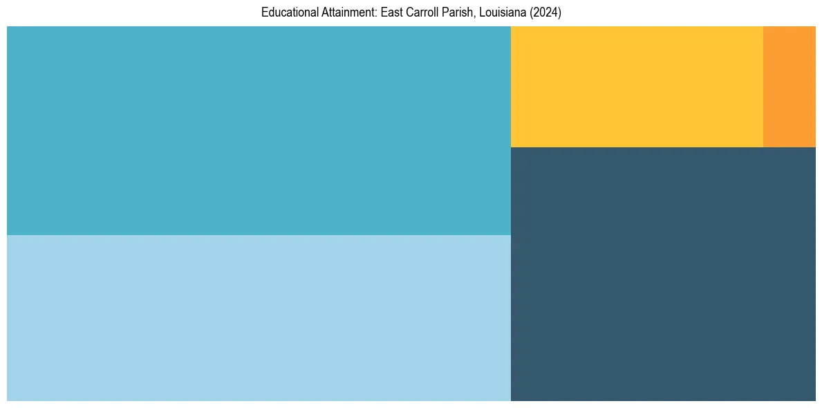 Education Treemap for  in 2024