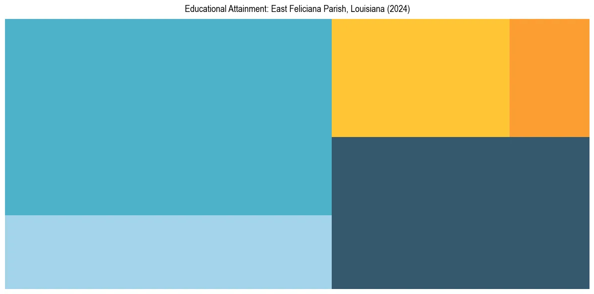 Education Treemap for  in 2024