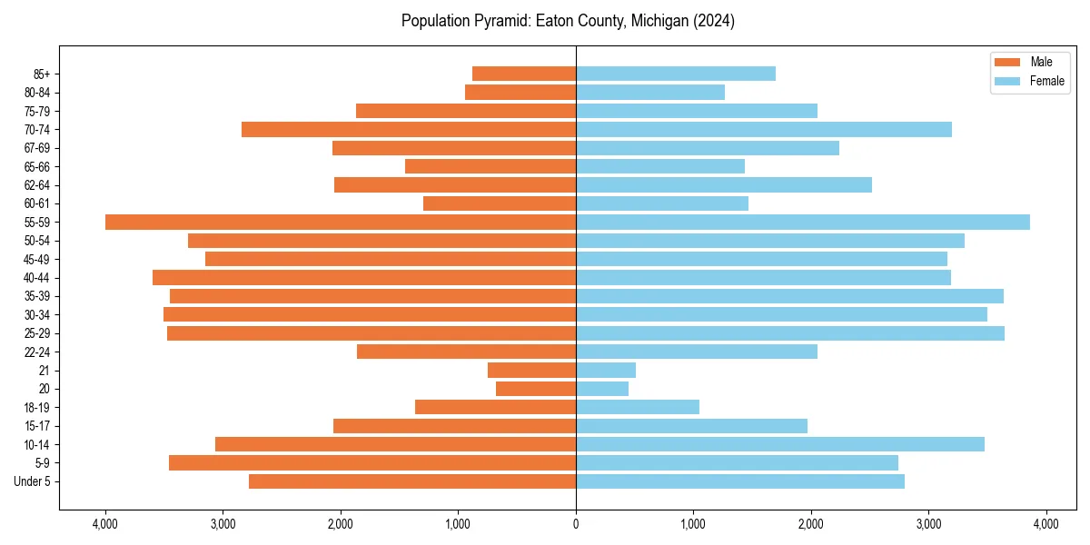 Population pyramid for 