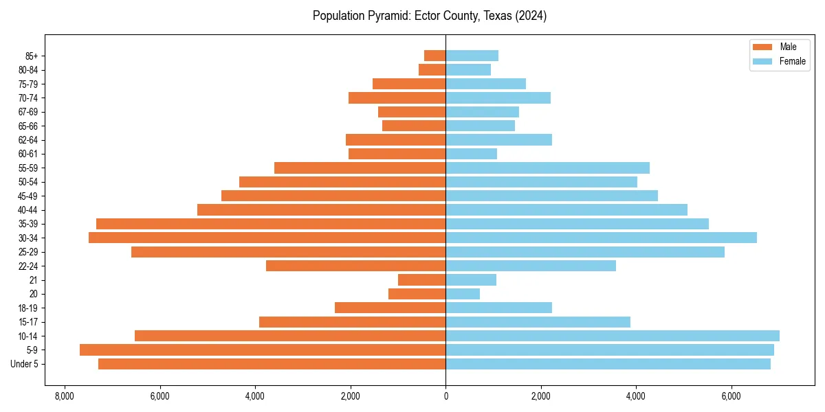 Population pyramid for 