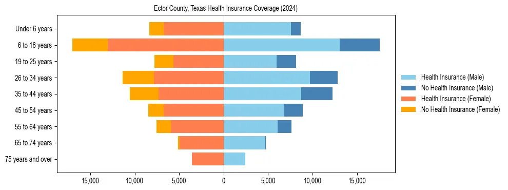 Health insurance pyramid for Ector County, Texas