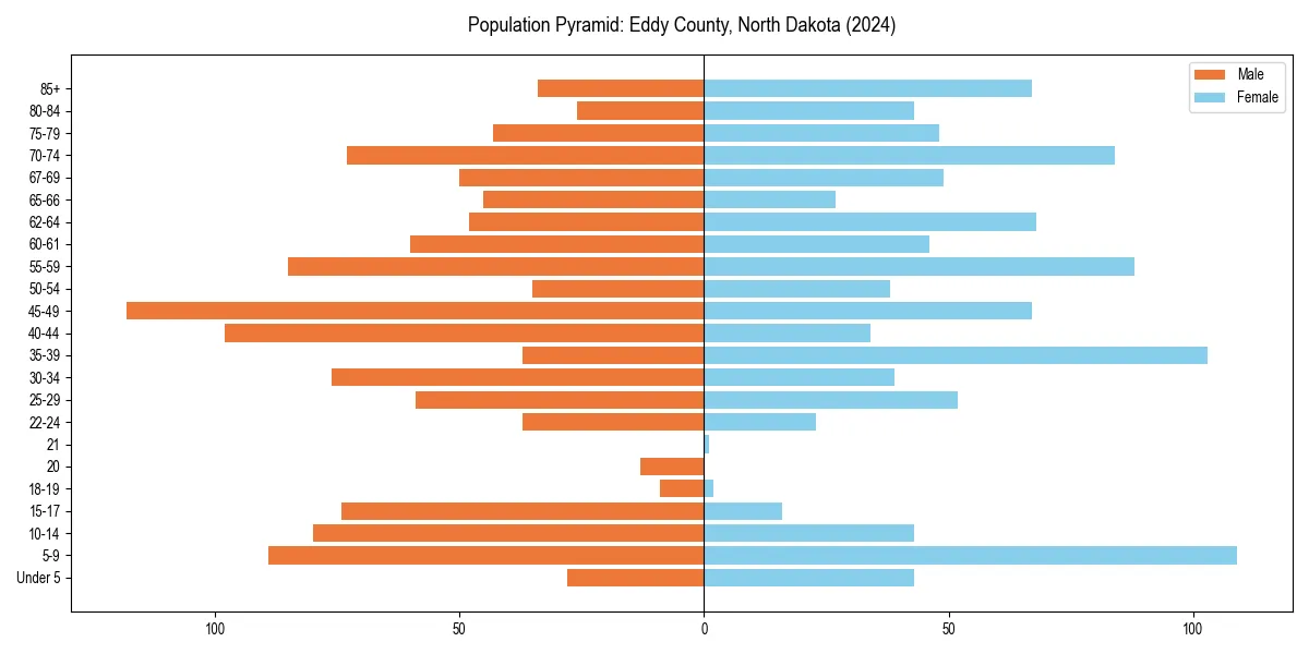 Population pyramid for 