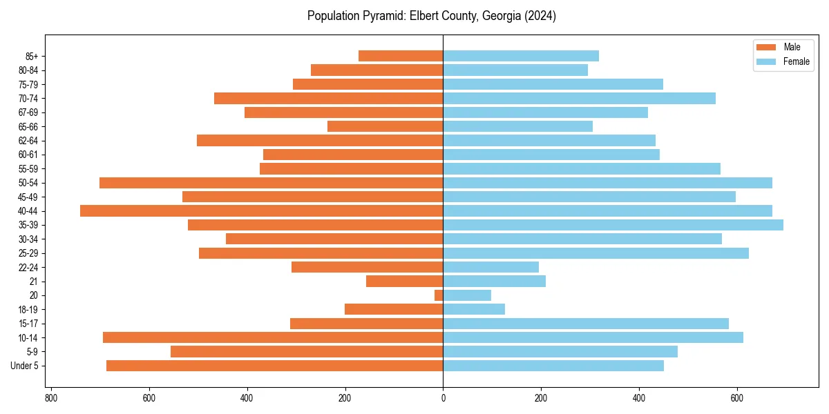 Population pyramid for 