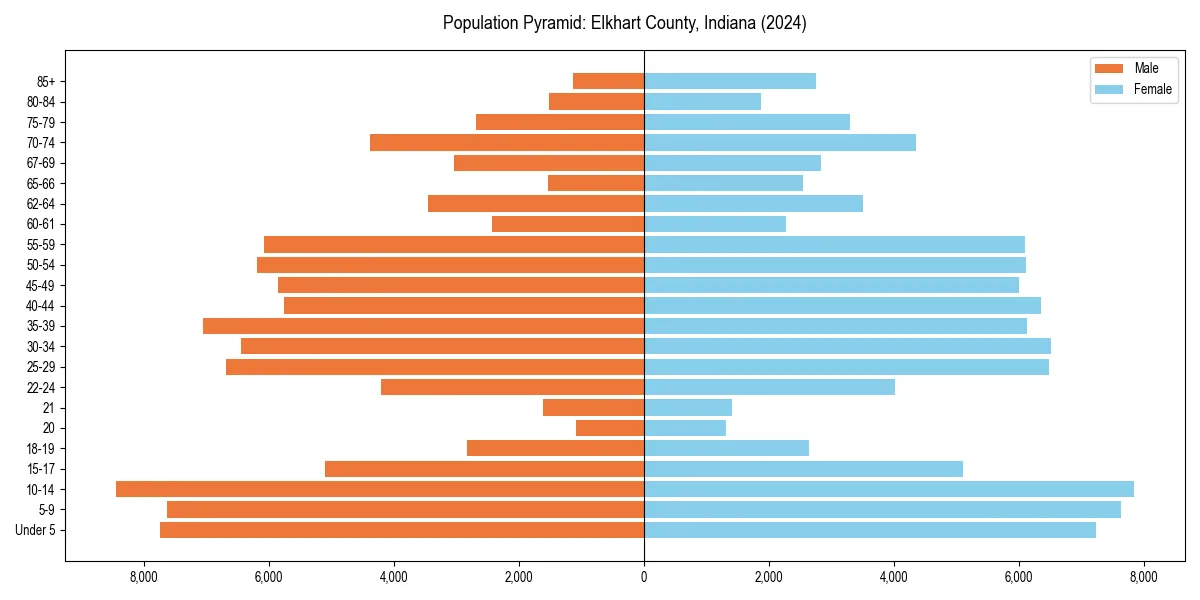 Population pyramid for 