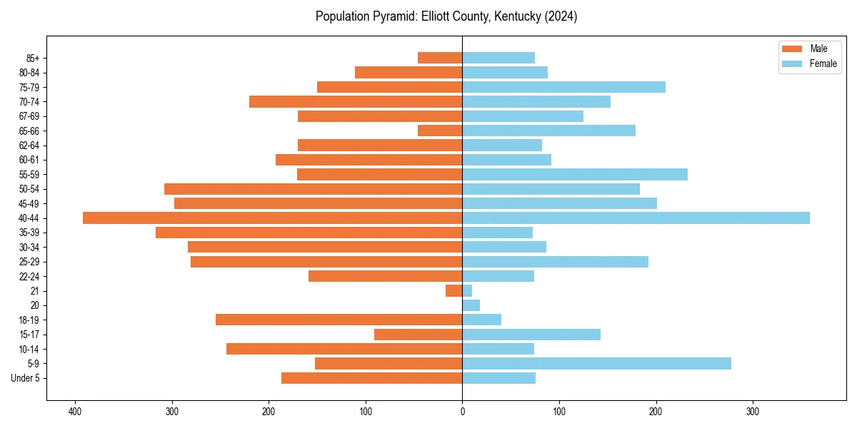 Population pyramid for 