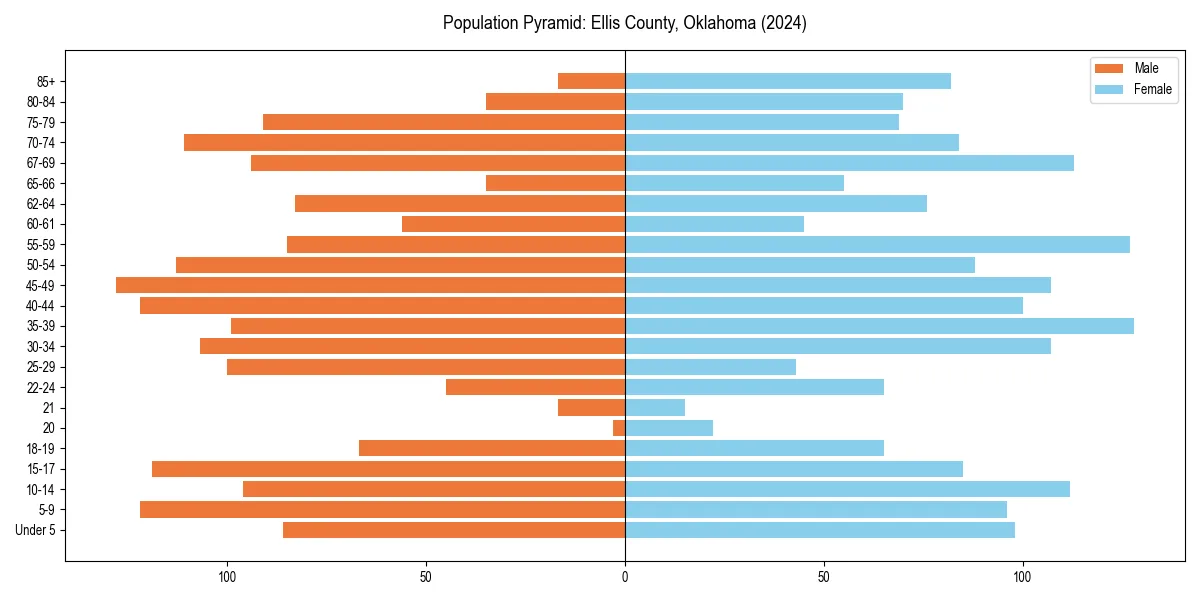 Population pyramid for 