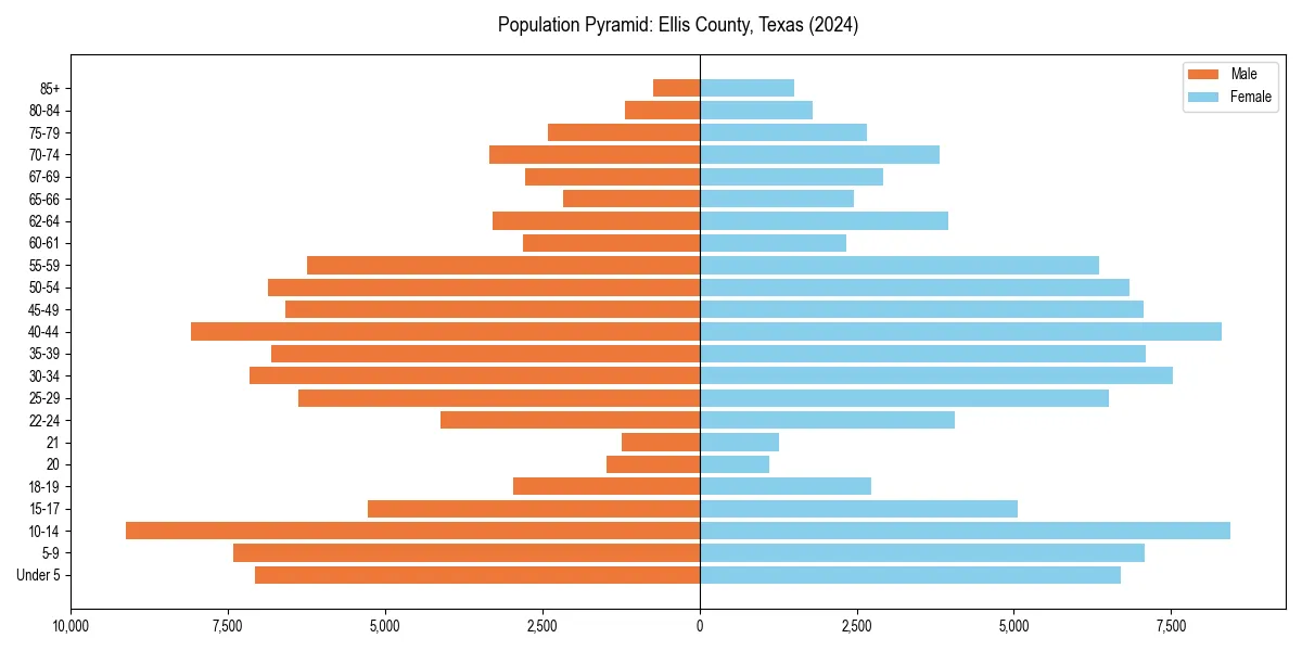Population pyramid for 