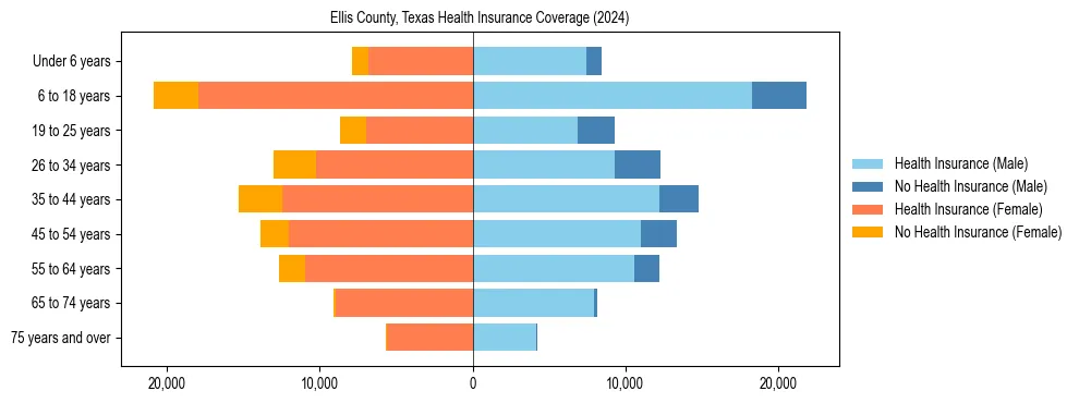 Health insurance pyramid for Ellis County, Texas