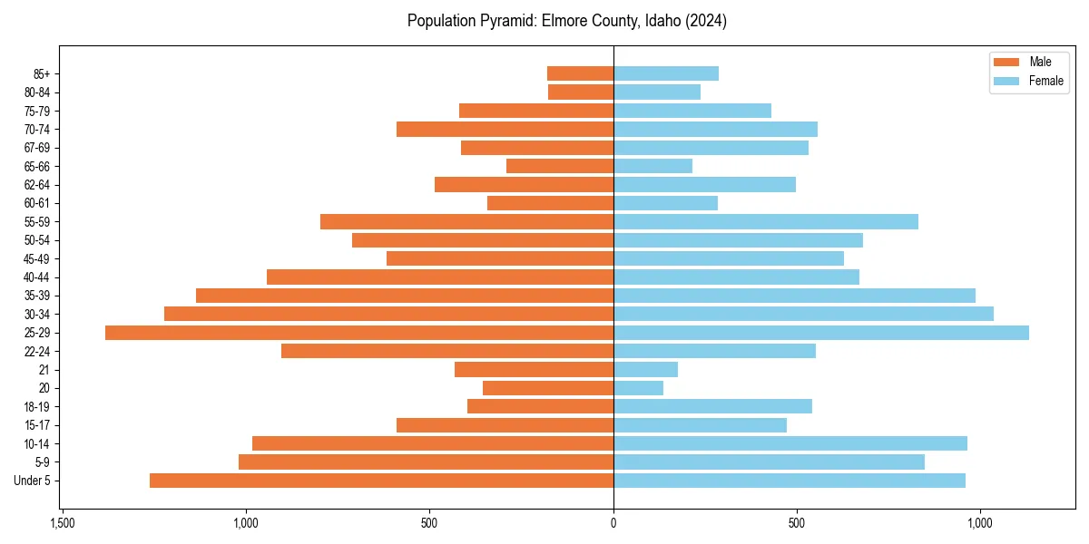 Population pyramid for 