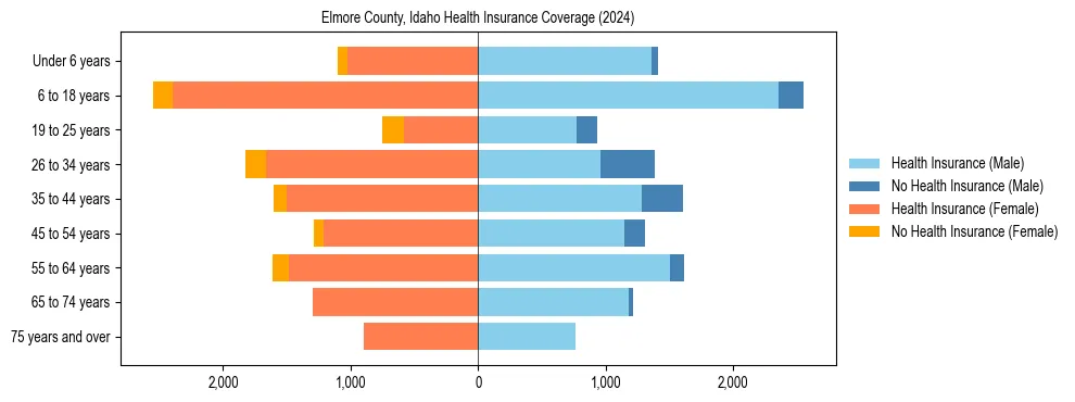 Health insurance pyramid for Elmore County, Idaho