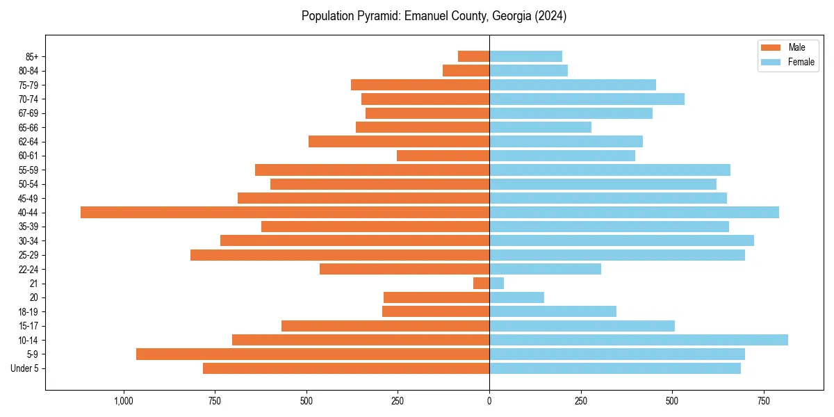 Population pyramid for 