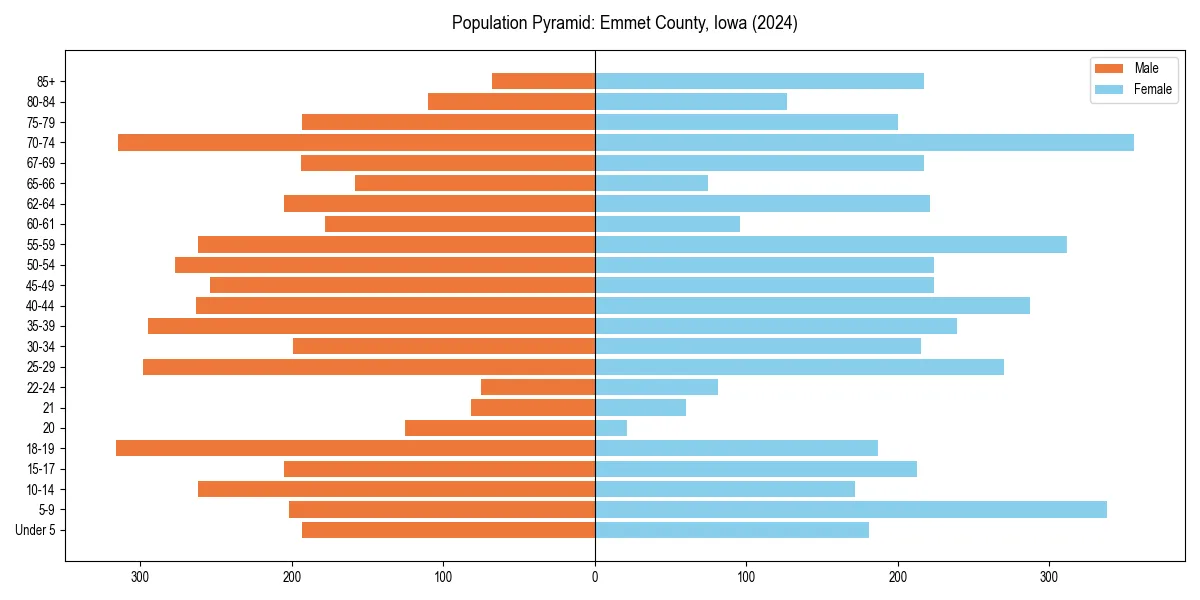 Population pyramid for 