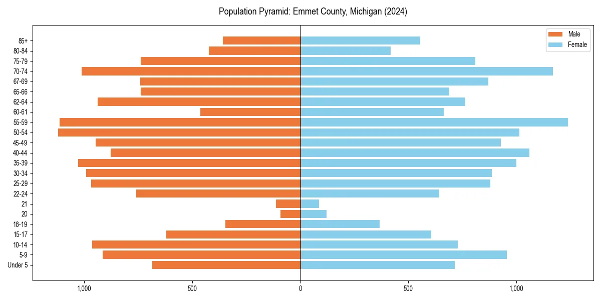 Population pyramid for 