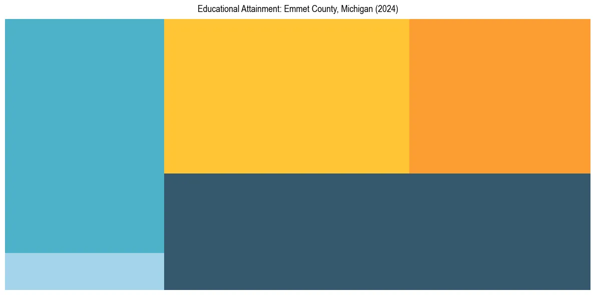 Education Treemap for  in 2024