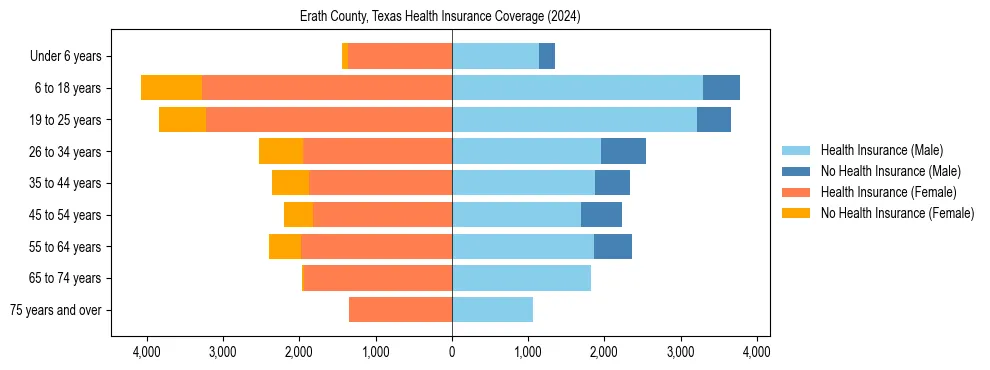 Health insurance pyramid for Erath County, Texas