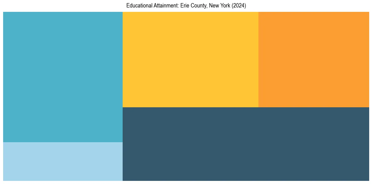 Education Treemap for  in 2024
