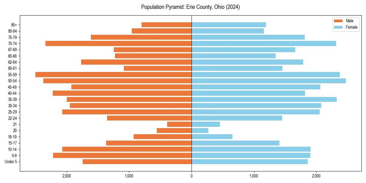 Population pyramid for 