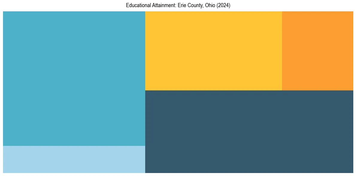 Education Treemap for  in 2024