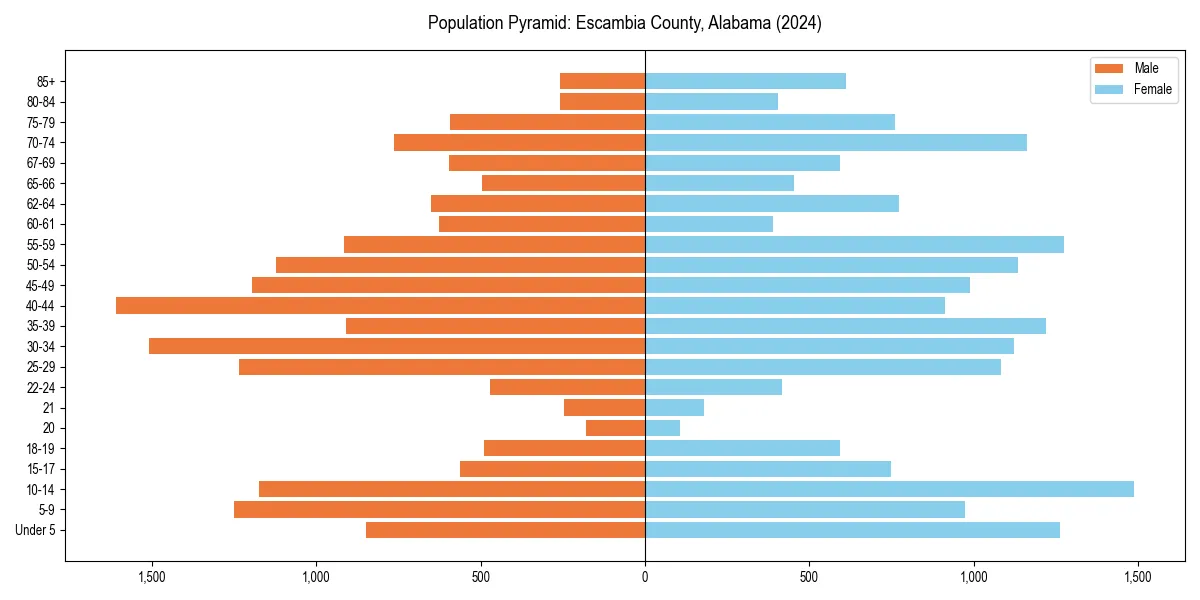 Population pyramid for 