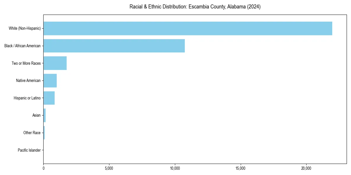 Bar chart showing racial distribution in  for 2024