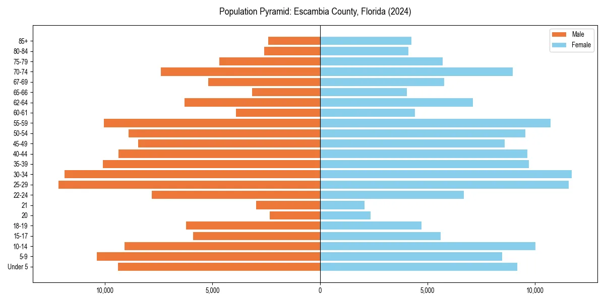 Population pyramid for 