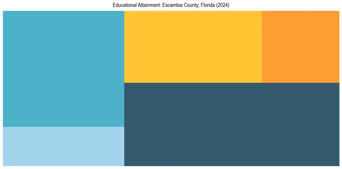 Education Treemap for  in 2024