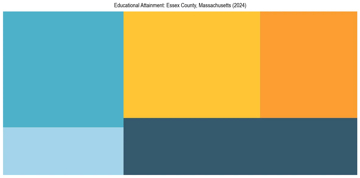 Education Treemap for  in 2024