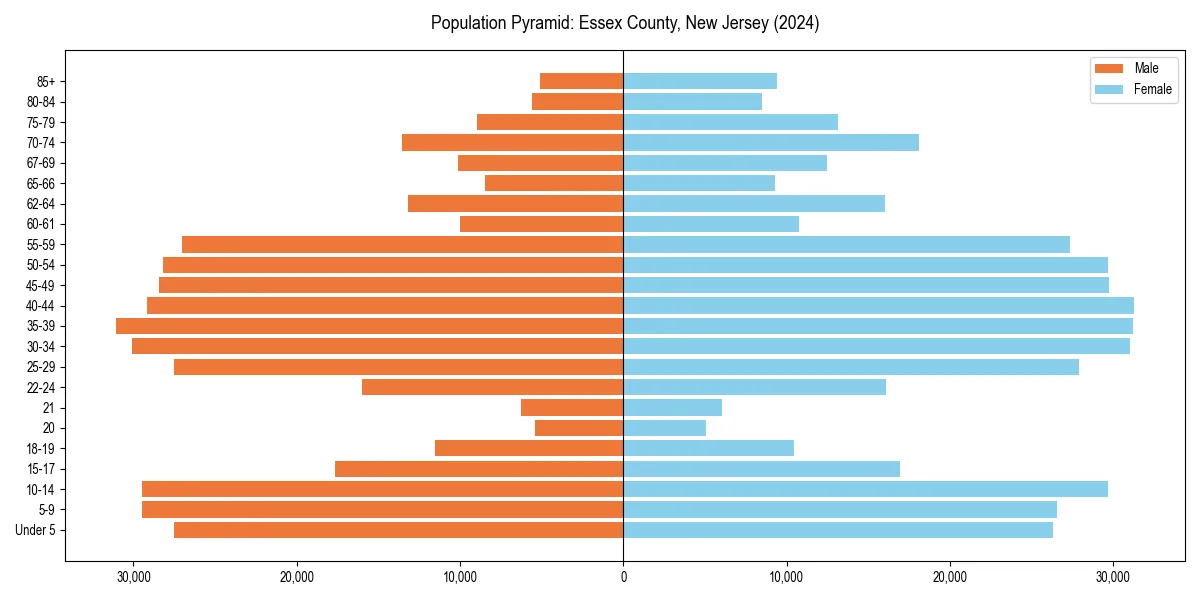 Population pyramid for 