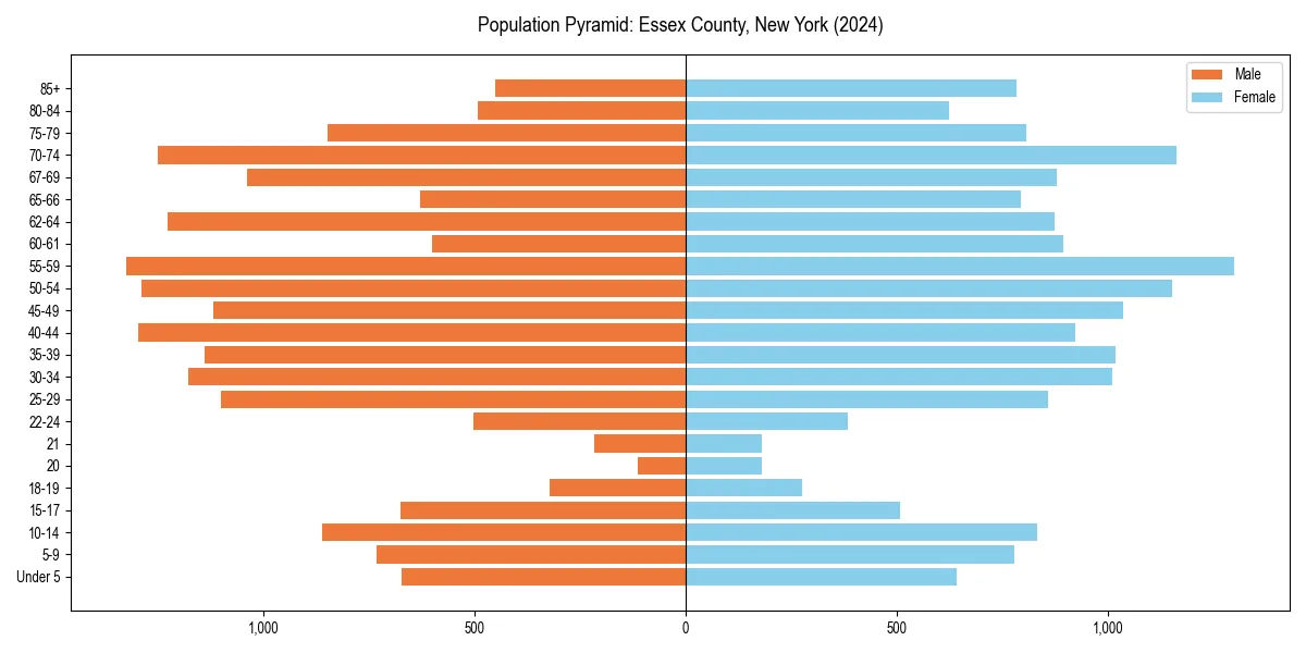 Population pyramid for 