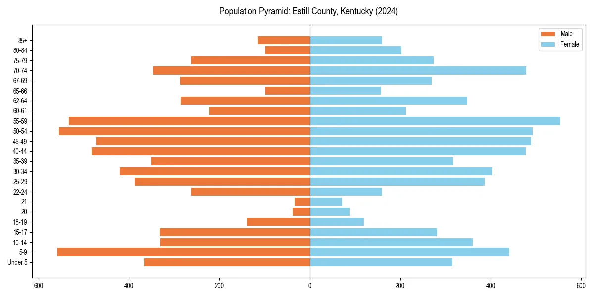 Population pyramid for 