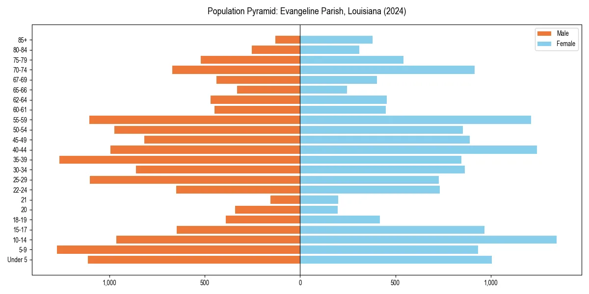 Population pyramid for 