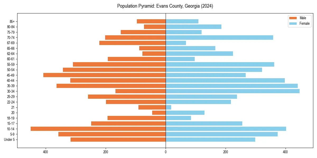 Population pyramid for 