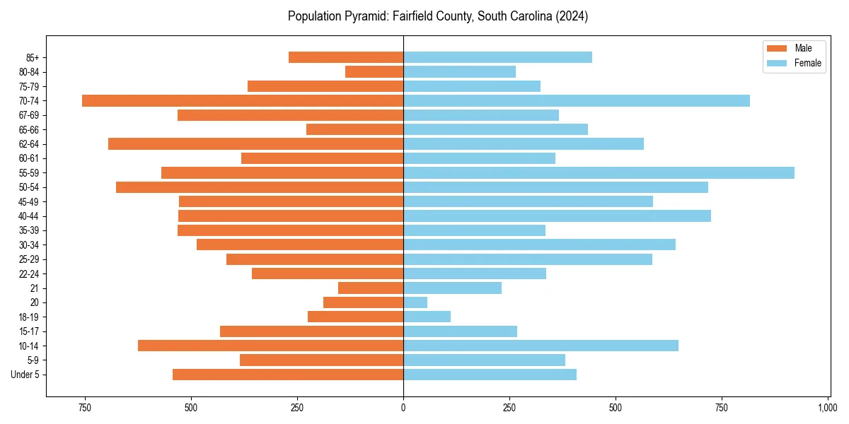 Population pyramid for 