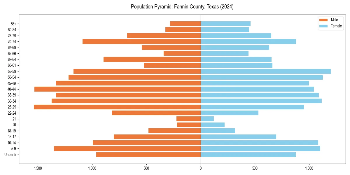 Population pyramid for 