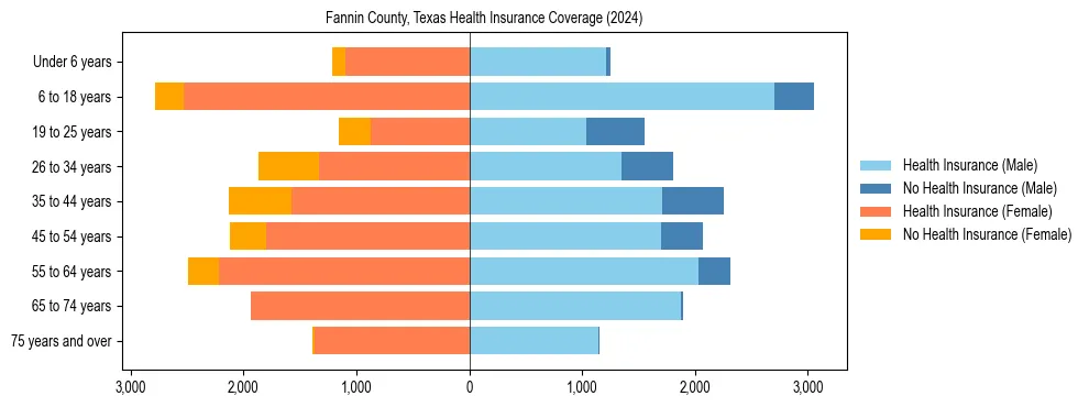 Health insurance pyramid for Fannin County, Texas