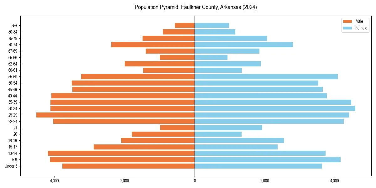 Population pyramid for 