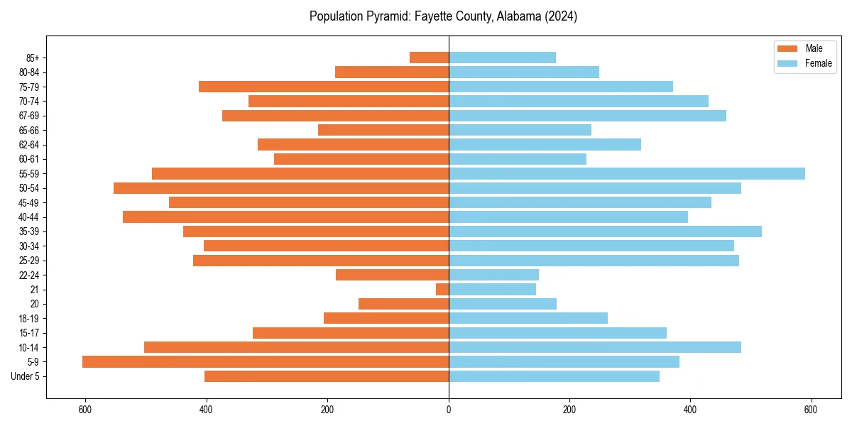 Population pyramid for 