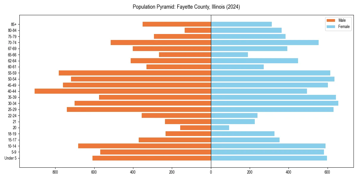 Population pyramid for 
