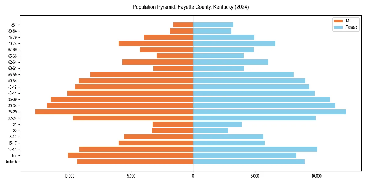 Population pyramid for 
