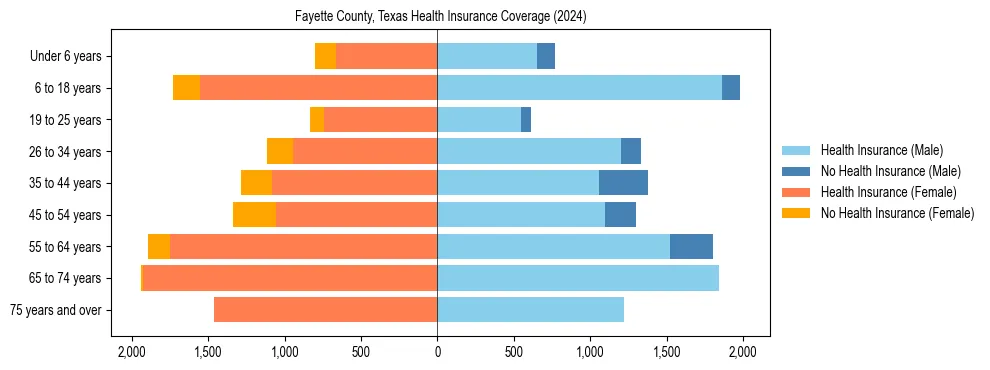 Health insurance pyramid for Fayette County, Texas