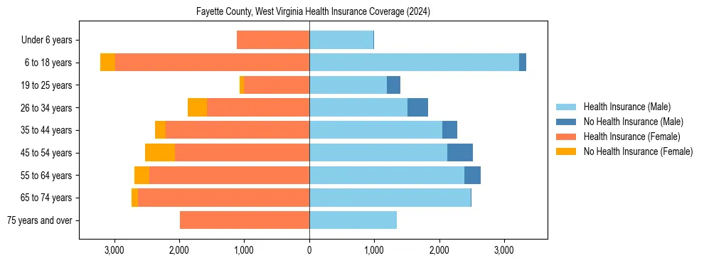 Health insurance pyramid for Fayette County, West Virginia