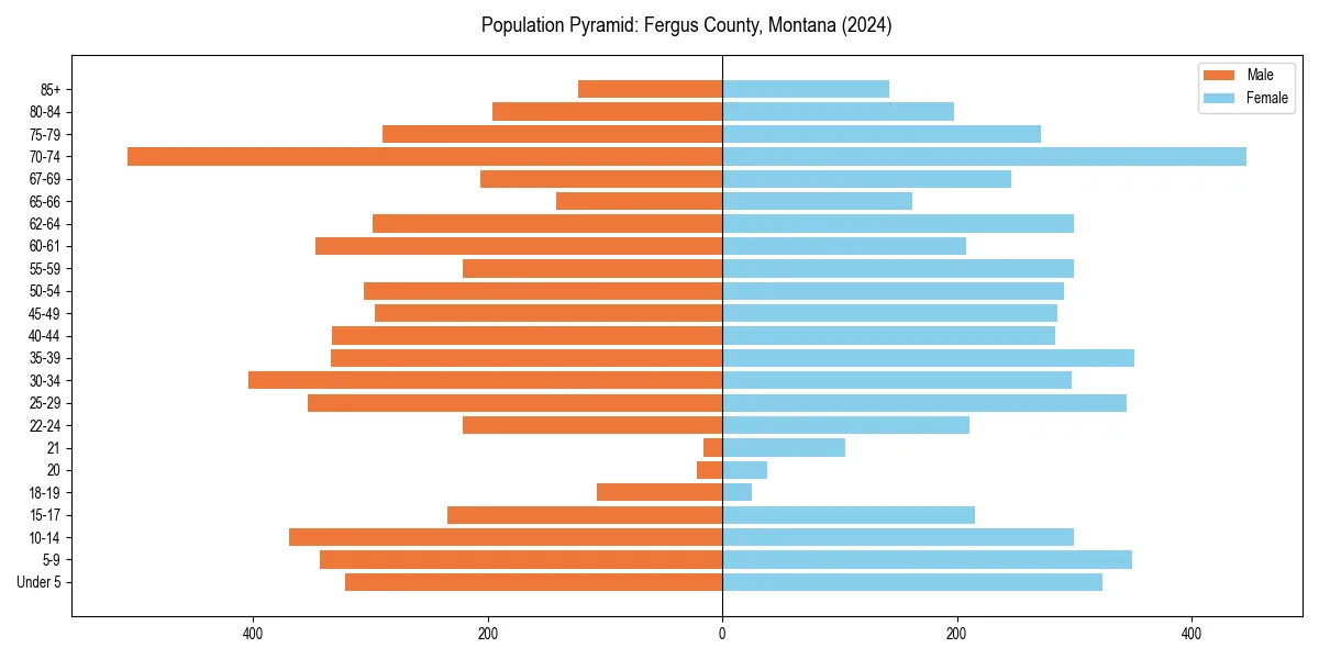 Population pyramid for 