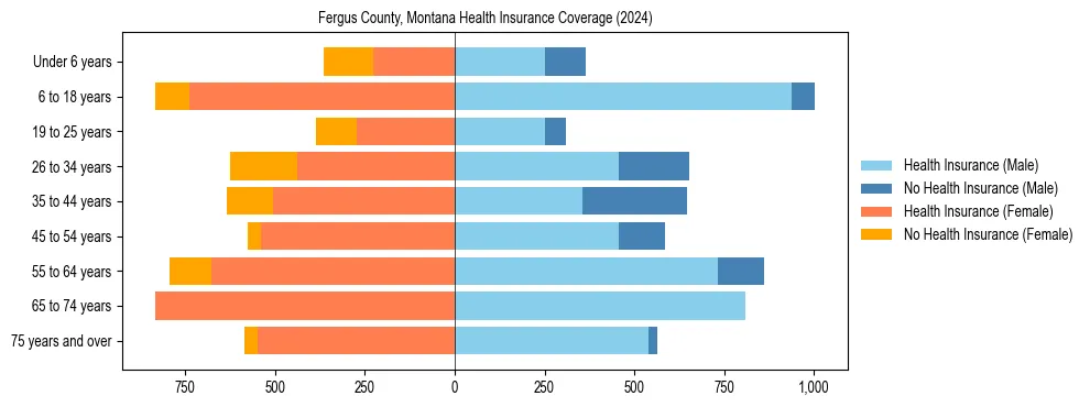Health insurance pyramid for Fergus County, Montana