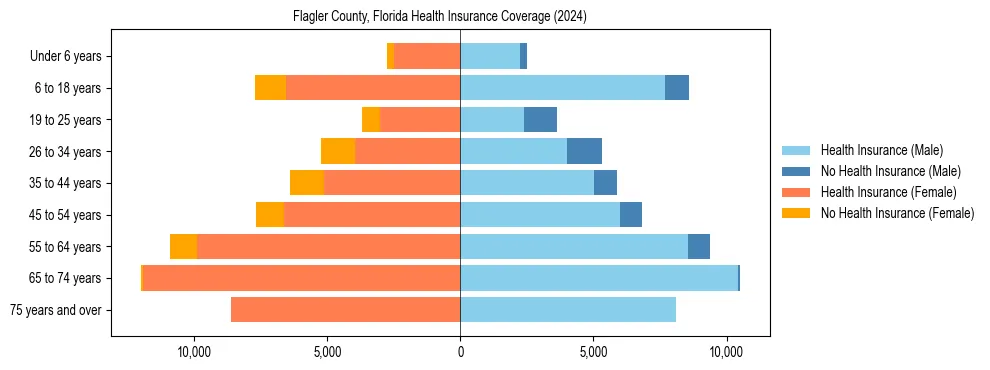 Health insurance pyramid for Flagler County, Florida
