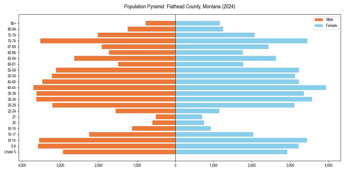 Population pyramid for 