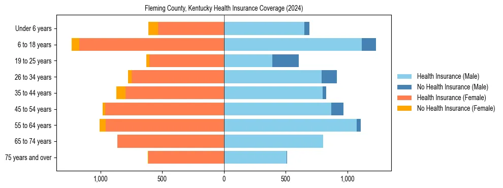 Health insurance pyramid for Fleming County, Kentucky