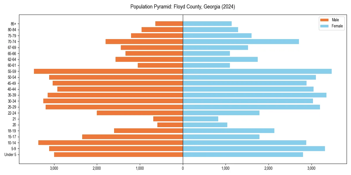 Population pyramid for 